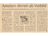 Tagesspiegel - Ameisen als Haustiere Ameisen dienen als Vorbild